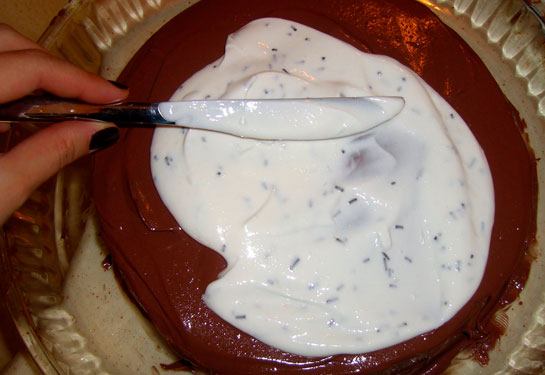 Pasta Kreması Tarifi